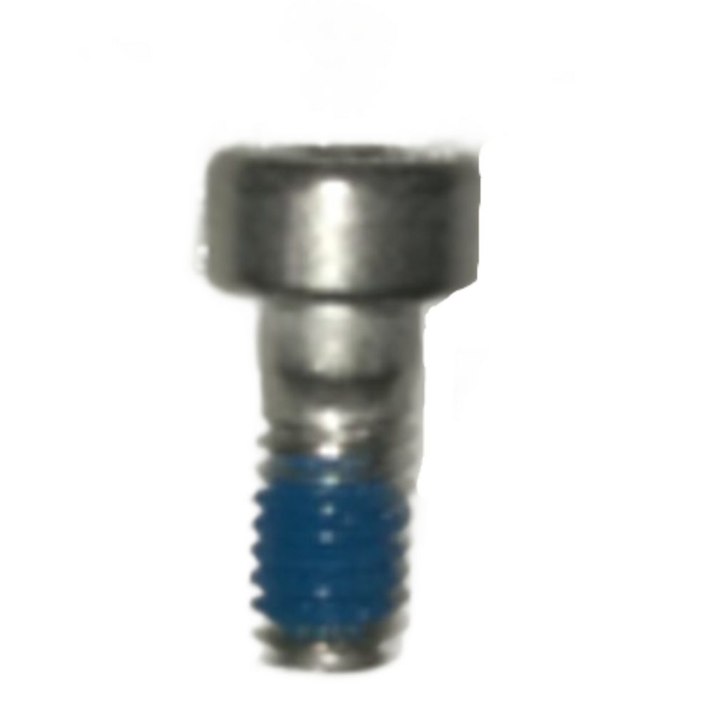 SCREW (M20-PC01200100-040010-0323-Y) (T50)